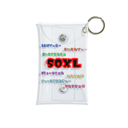 SOXLホルダーによるSOXLホルダーのためのSOXLアイテム Mini Clear Multipurpose Case