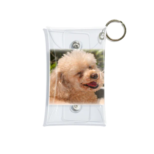 🐶"SmilePuppy"🐶 Mini Clear Multipurpose Case