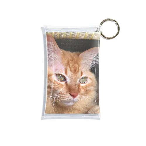 ちぐらでくつろぐチビエル Mini Clear Multipurpose Case