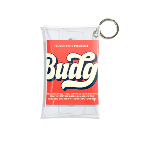 Budge Mini Clear Multipurpose Case