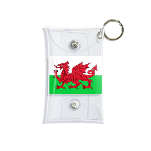 ウェールズの旗 Mini Clear Multipurpose Case