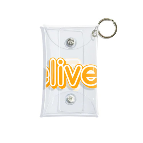 Delivery  Mini Clear Multipurpose Case