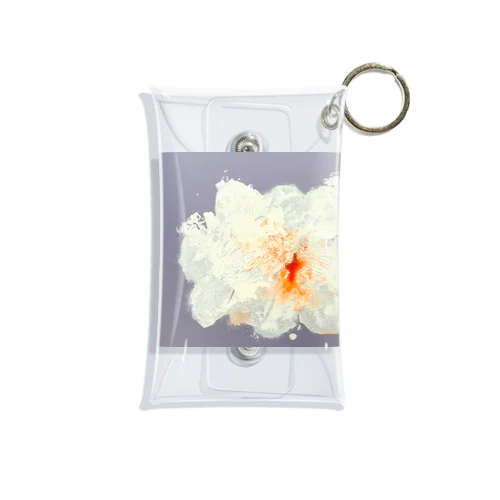 AO Mini Clear Multipurpose Case