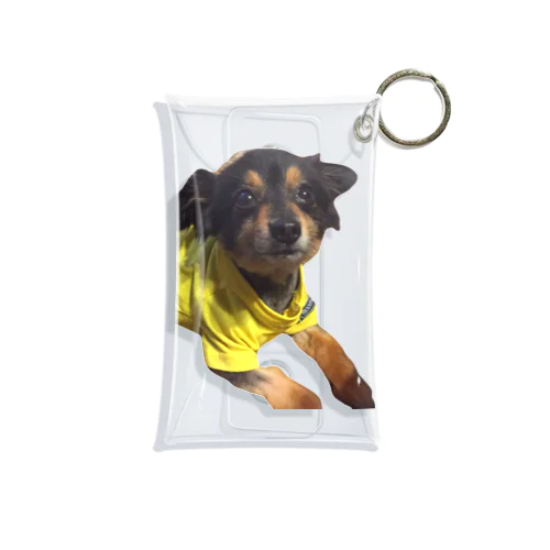 ミックス犬 くーちゃん Mini Clear Multipurpose Case