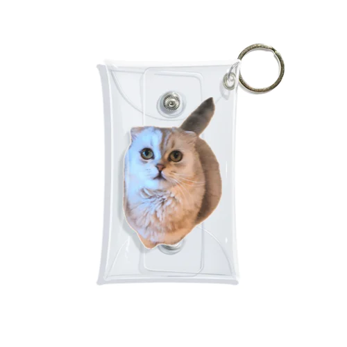 フクロウみたいな猫 Mini Clear Multipurpose Case