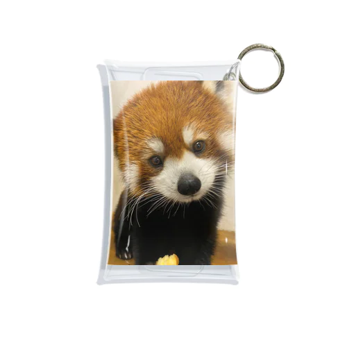 レッサーパンダ Mini Clear Multipurpose Case