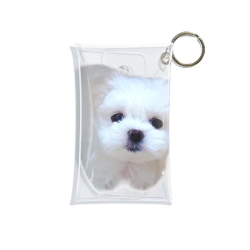 ミルクが家族になった日🐶 Mini Clear Multipurpose Case