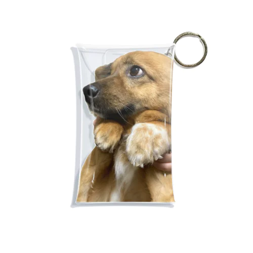 困り顔のこまり Mini Clear Multipurpose Case