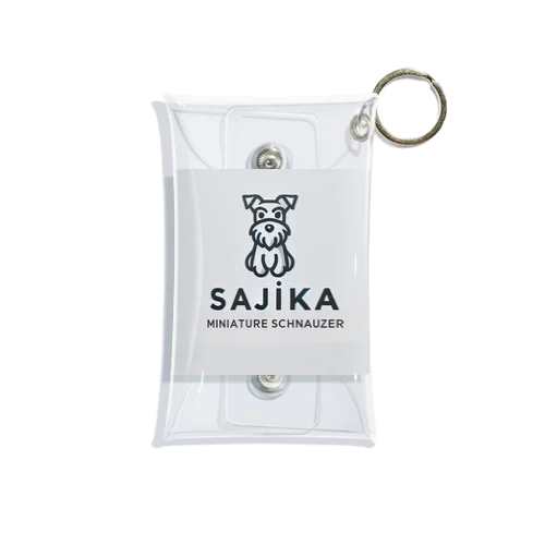 SAJIKA Mini Clear Multipurpose Case