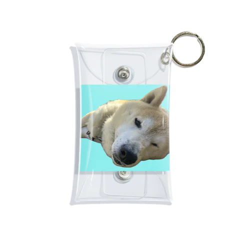 犬（dog）愛犬nana Mini Clear Multipurpose Case