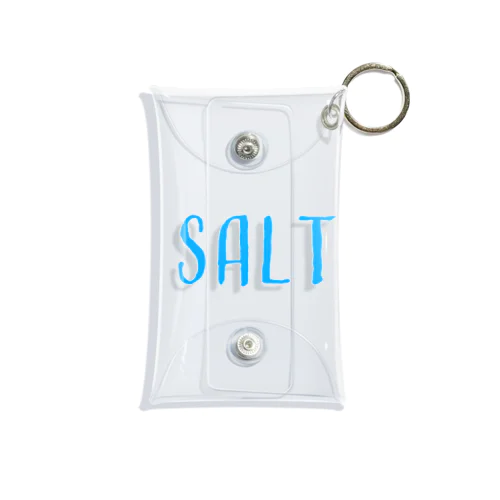 SALT  light blue Mini Clear Multipurpose Case