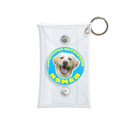 【ROMEO】専用 Mini Clear Multipurpose Case