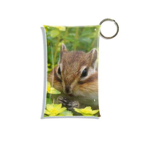 【心とカラダの栄養に】サロベツの花畑でエゾシマリス Mini Clear Multipurpose Case