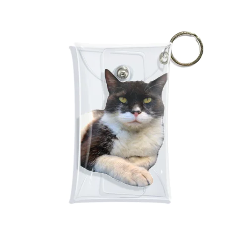 初登場🎉マスクくん😷 Mini Clear Multipurpose Case