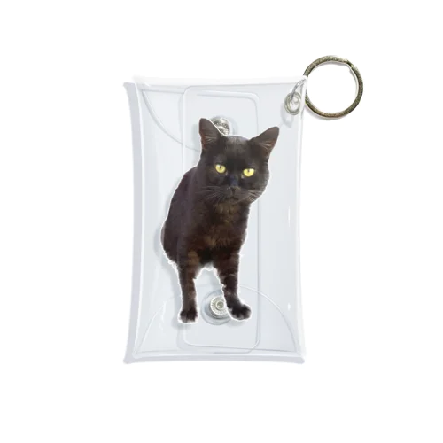 のらくろ Mini Clear Multipurpose Case