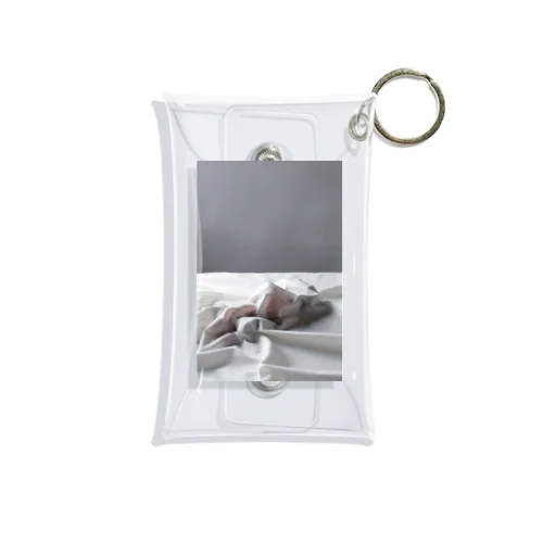 Covered_formula Mini Clear Multipurpose Case