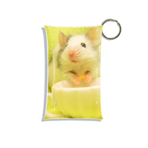 Fancy Mouse Mini Clear Multipurpose Case