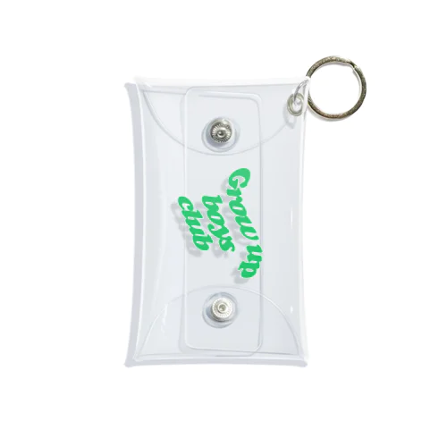 green Mini Clear Multipurpose Case