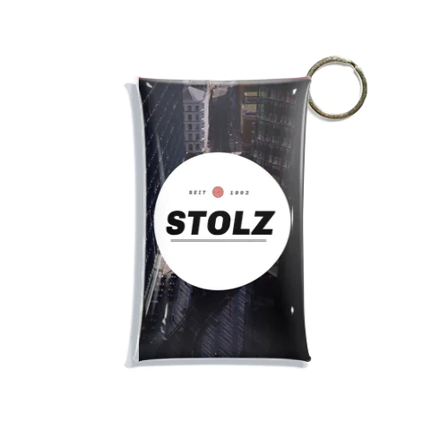 STOLZ Mini Clear Multipurpose Case