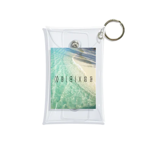 M a l d Mini Clear Multipurpose Case