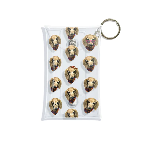 ダックス Mini Clear Multipurpose Case
