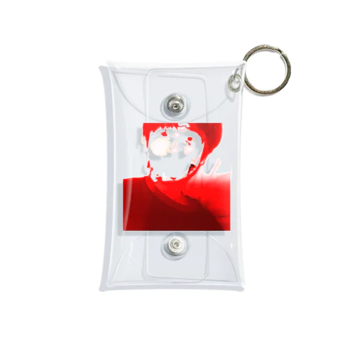 Possession Mini Clear Multipurpose Case