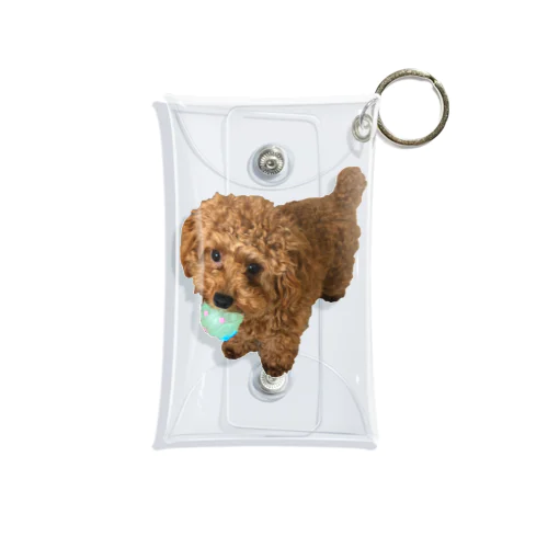 伝説の秘宝を携えし犬 Mini Clear Multipurpose Case