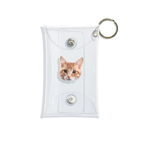 のあ Mini Clear Multipurpose Case