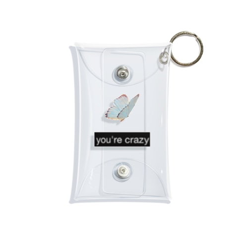 you're crazy Mini Clear Multipurpose Case