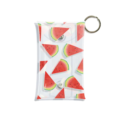 🍉 Mini Clear Multipurpose Case