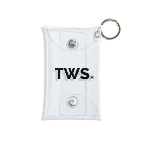 TWS Mini Clear Multipurpose Case