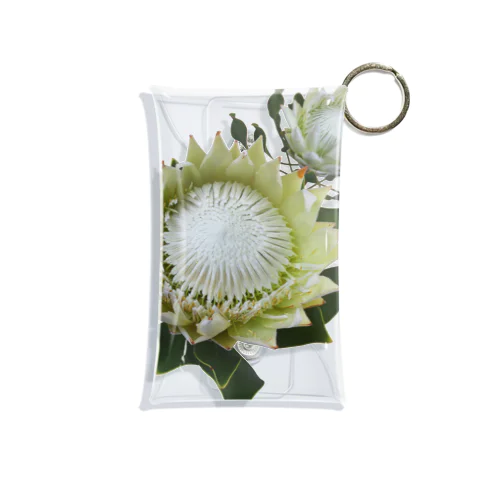 Wild Flower キングプロテア Mini Clear Multipurpose Case