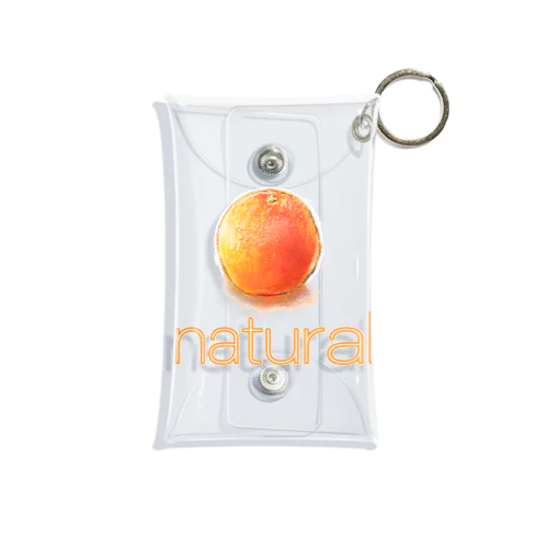 natural Mini Clear Multipurpose Case
