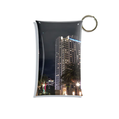 City Mini Clear Multipurpose Case