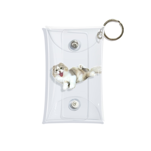 スコにゃは Mini Clear Multipurpose Case