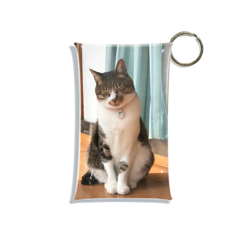 猫ネコねこキャット（実写） Mini Clear Multipurpose Case