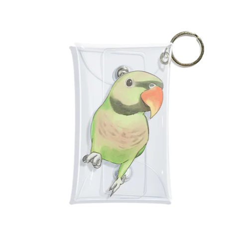 ご機嫌なダルマインコちゃん【まめるりはことり】 Mini Clear Multipurpose Case