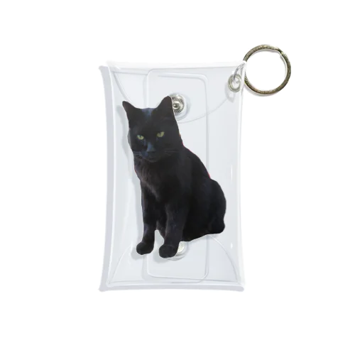 黒猫のふくちゃん Mini Clear Multipurpose Case