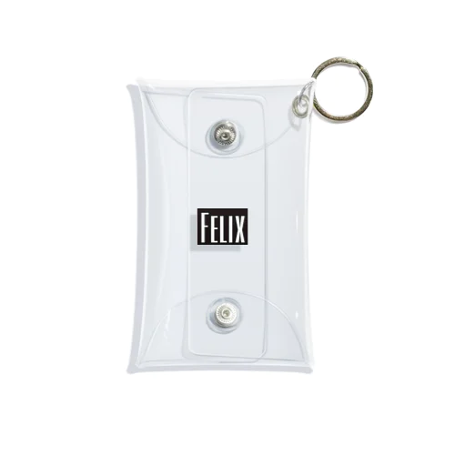 Felix Mini Clear Multipurpose Case