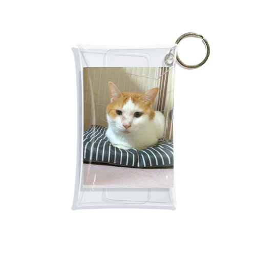 彼多(かなた)グッズ Mini Clear Multipurpose Case