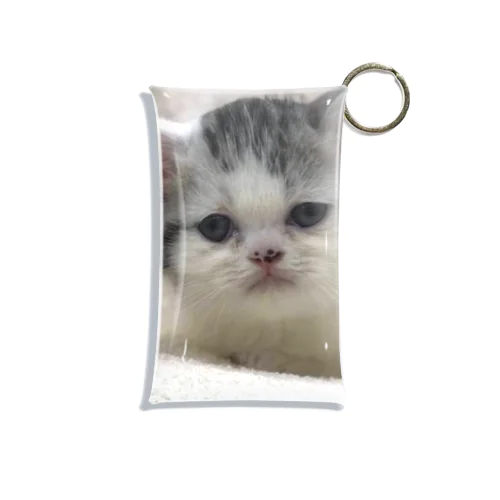 子猫の大福 Mini Clear Multipurpose Case