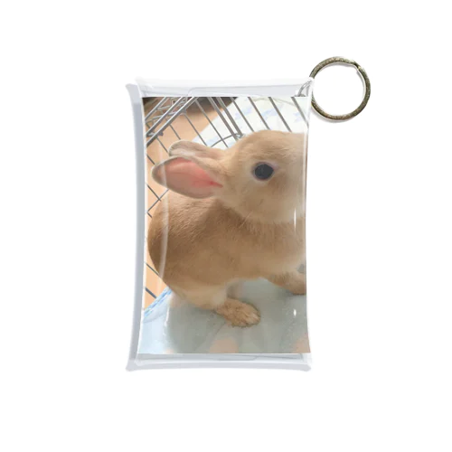 きなこ1さい！ Mini Clear Multipurpose Case