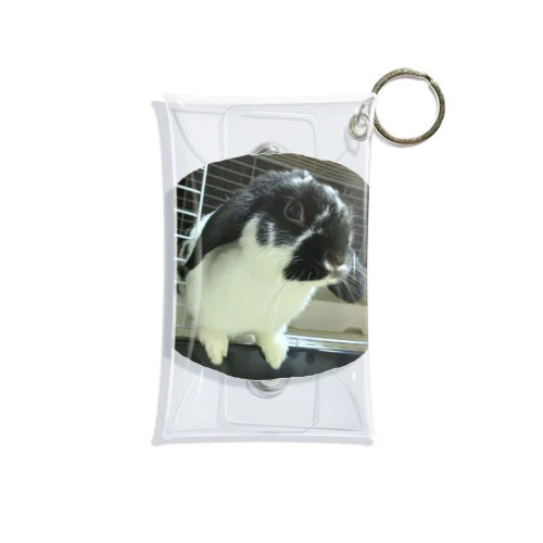 ひょっこりラピィ Mini Clear Multipurpose Case