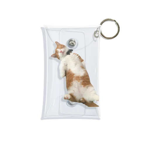 短足マンチカン  どり🐱 Mini Clear Multipurpose Case