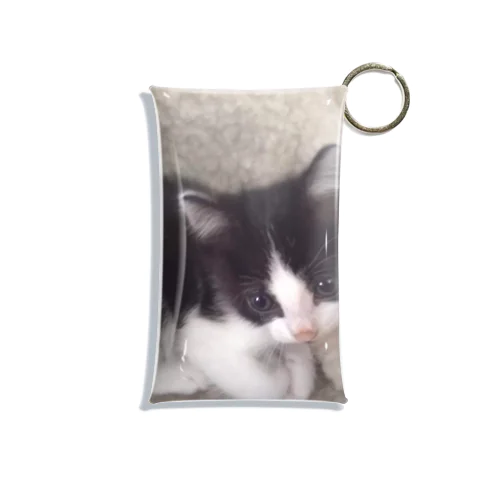 おすまし猫 テールくん Mini Clear Multipurpose Case