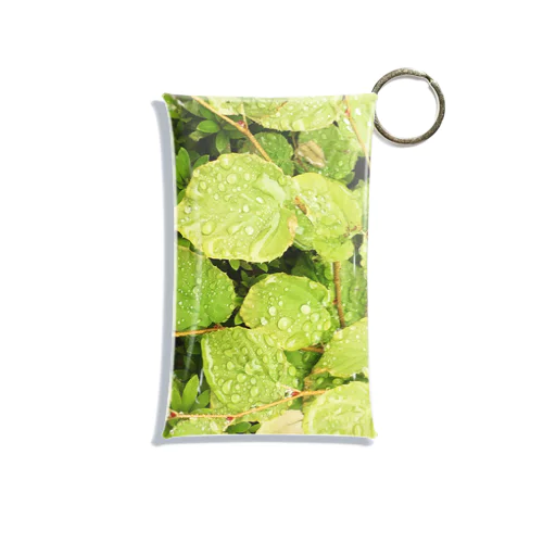 雨の日 Mini Clear Multipurpose Case