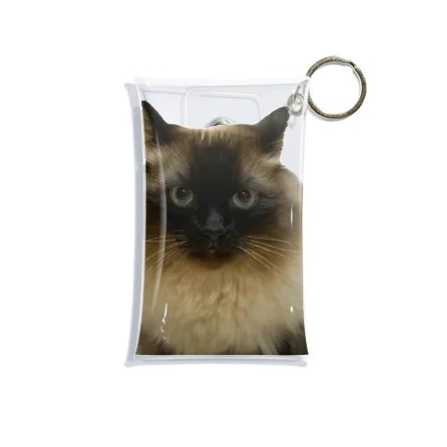 キリリねこ Mini Clear Multipurpose Case