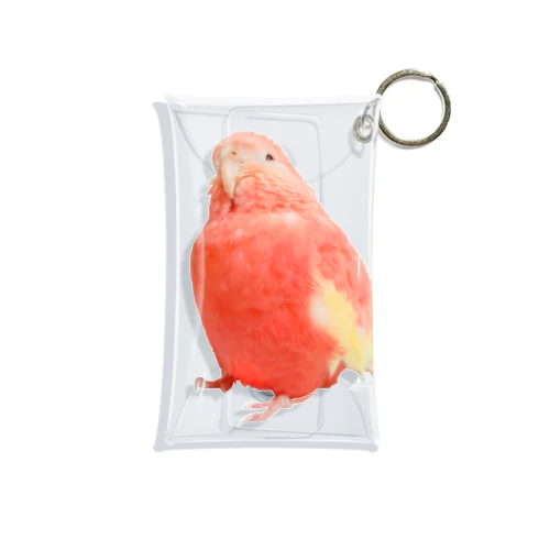 アキクサインコのチャム（実写うふ顔） Mini Clear Multipurpose Case