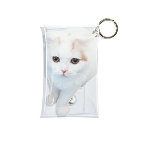 じっと見猫 Mini Clear Multipurpose Case