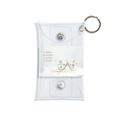 Fabulous Marvelous amazing Precious Mini Clear Multipurpose Case